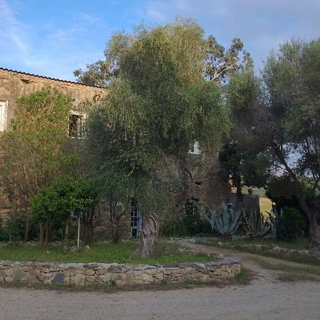 Domaine Ostriconi Bed & Breakfast Palasca  Exterior photo